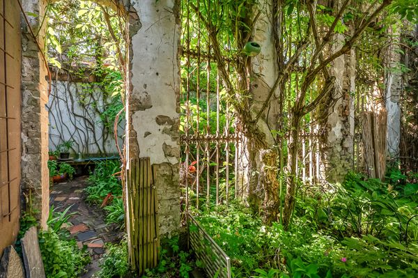 funda parel den haag tuin huis woning (2)