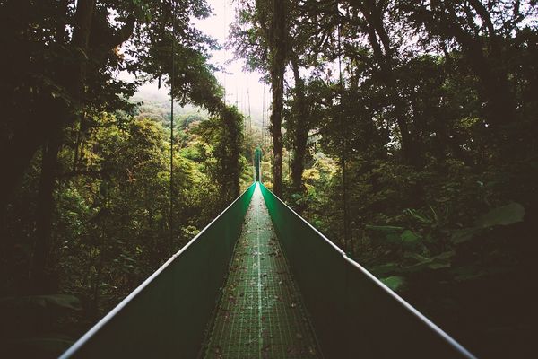Monteverde Cloud Forest Reserve, nationale parken, costa rica