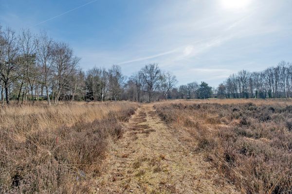 funda bungalow natuurgebied drenthe vrij uitzicht bos lap grond groot perceel
