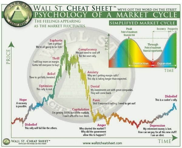 wall street cheat sheet investeren beleggen emoties
