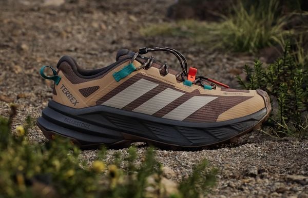 Adidas Terrex Freehiker SL GORE-TEX nieuwe bruine hike sneakers wandelschoenen 150 euro