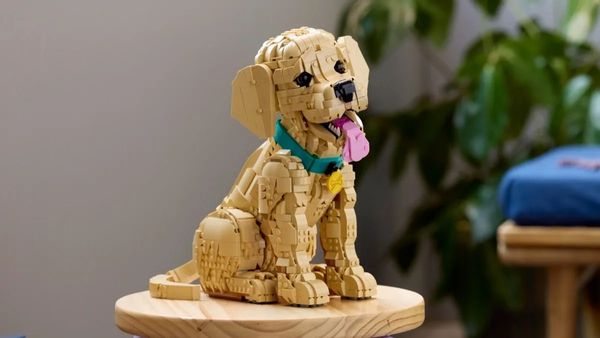 LEGO februari 2026 sets volwassenen