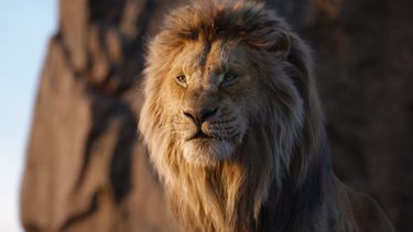 mufasa the lion king, teaser, trailer, disney, prequel, d23 expo 2022, simba, film