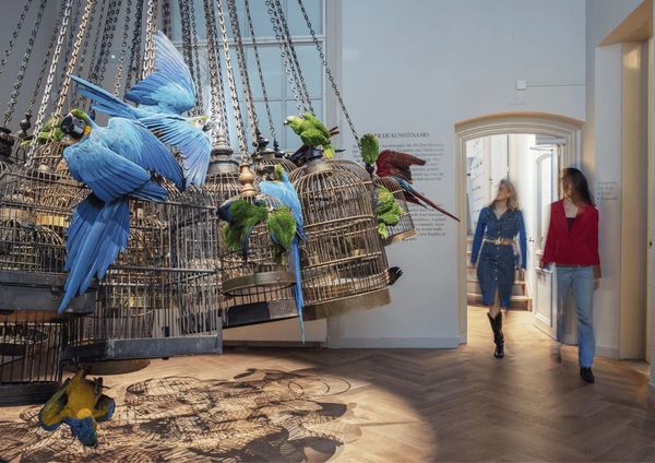 time worlds greatest places fenix rotterdam museum art zoo amsterdam