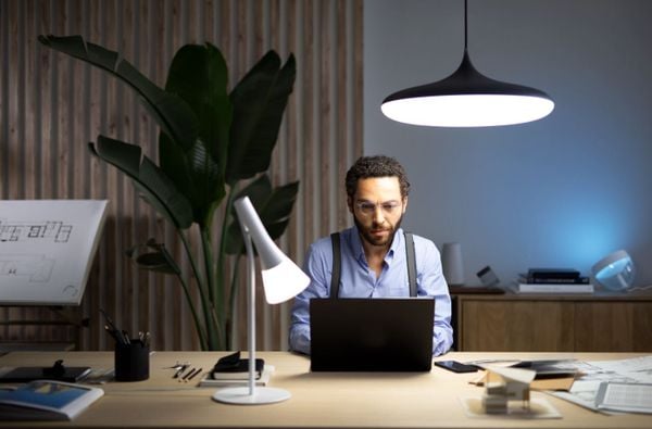 Philips Hue werken