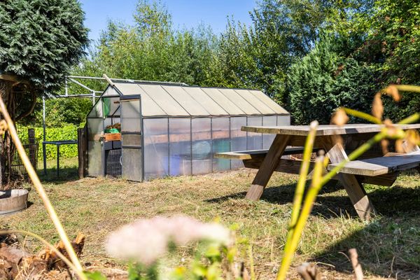 funda nieuw amsterdam drenthe bio boer groenten groot perceel (11)