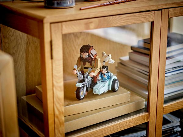 LEGO Harry Potter Hagrid & Harry’s Motorcycle Ride beste lego sets van 2025