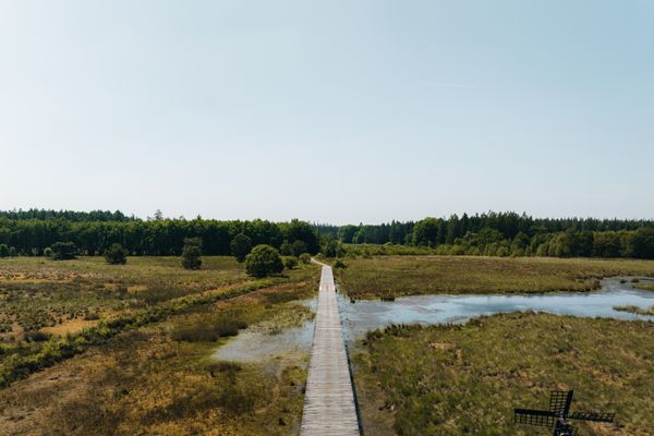 funda huis kopen drenthe energielabel a groot perceel natuur (9)