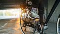 elektrische fiets, e-bike, nederlandse overheid, te koop, korting, bieden