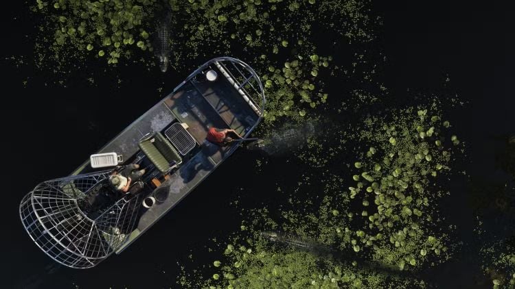GTA 6 Grass Rivers Swamp