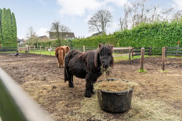 funda landelijke woning groot perceel jaren 30 overijssel (11)