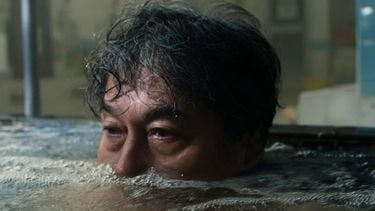perfect days videoland film wim wenders (2)