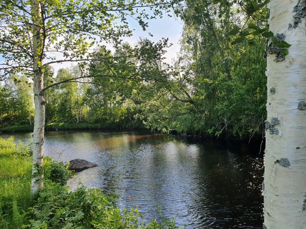 camping zweden kopen noorderlicht midgetgolf instapklaar luxe