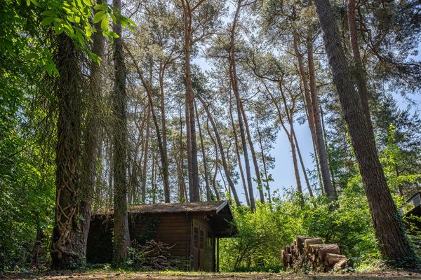 funda huis bos belgie zes slaapkamers mol (12)