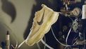 corona, pandemie-sneakers, nike air max scorpion, vr software, virtual reality, 5 oktober