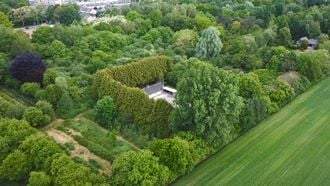 Dit Funda-krot van €299.000 koop je voor het privé-bos eromheen