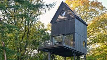 In deze adembenemende Airbnb waan je je een vogel op de Veluwe
