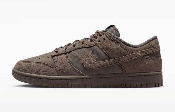 Nike Dunk Low Retro SE nieuwe sneakers 119 euro bruin monochroom