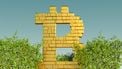bitcoin, schiet omhoog, 28 februari 2022, grootste sprong, stijging