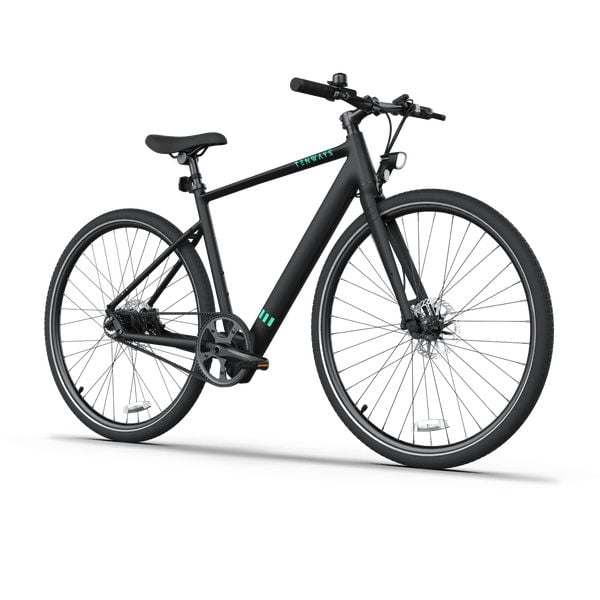 TENWAYS CGO600, e-bike, elektrische fiets, betaalbaar alternatief, vanmoof
