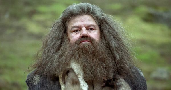 Harry Potter Hagrid acteur cast
