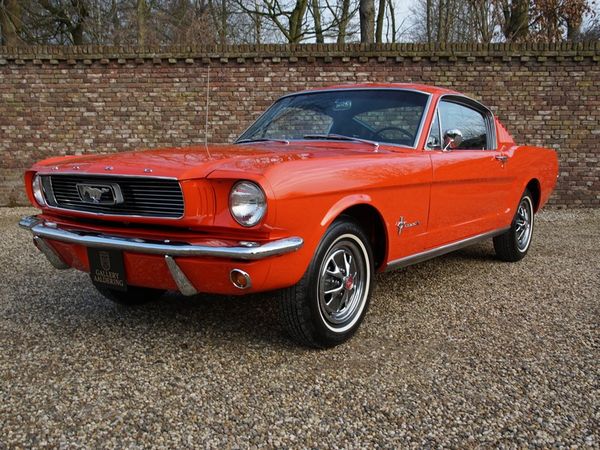 Tweedehands Ford Mustang 2+2 Fastback occasion