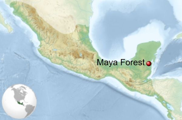 tropisch oerwoud bescherming mexico guatemala belize beschermde natuur maya bos