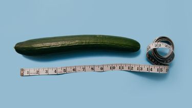 De ideale lengte van de penis volgens vrouwen