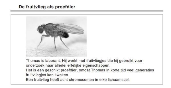 vmbo oefenexamen test proef opgaven 11 (2)