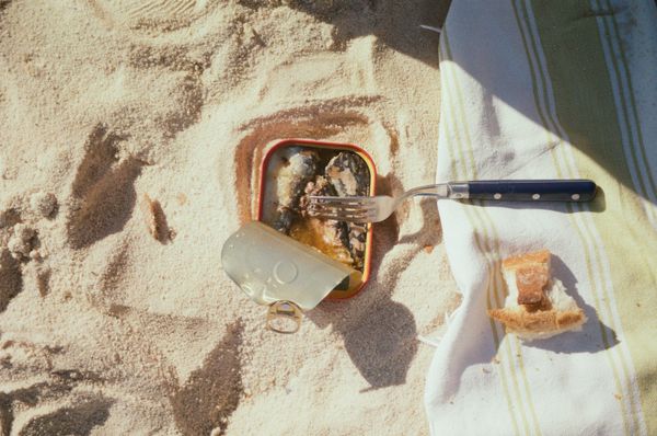 Sardientjes op een Portugees strand, ook een soort uiteten