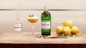 gin-tonic gin-cocktail zoethout lentecocktail