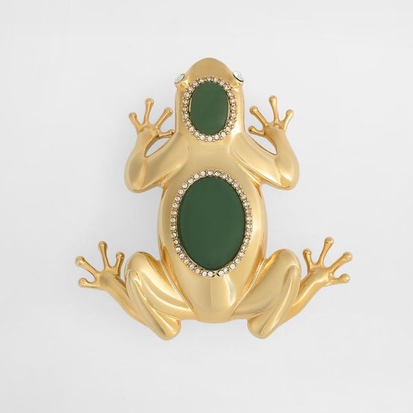 haaland dolce gabbana kikker broche 850 euro look post wk 2026