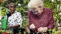 Het salaris als assistent van Beatrix en de vacature staat nog open