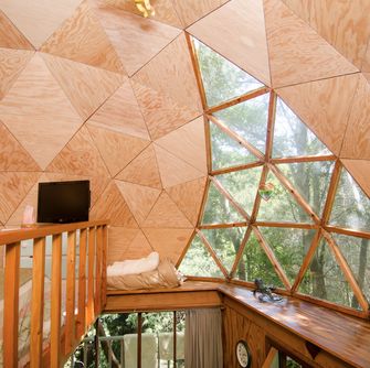 wereld, populairste airbnb, mushroom dome, hut, bos