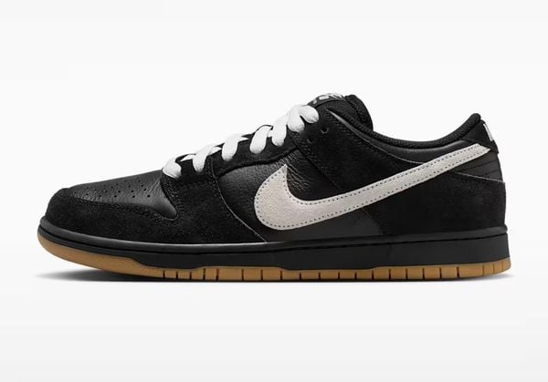 SB Dunk Low Pro nike sneakers (2)