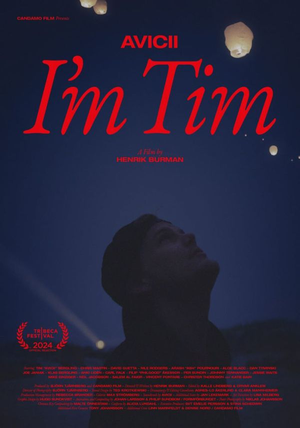 avicii i'm tim nieuwe documentaire op netflix 31 december 2024