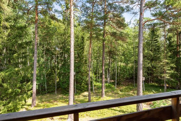zweden huis kopen boomhut natuur luxe woning (10)