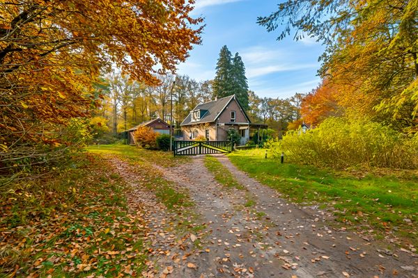 funda huis bos utrechtse heuvelrug (6)