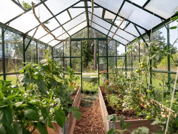 huis kopen in zweden villa 175000 euro gotland paradijselijk eiland tuin groentekas