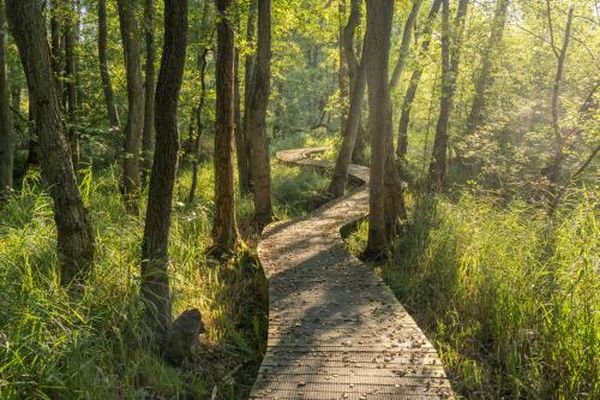 funda huis energielabel a natuur meinweg limburg (6)