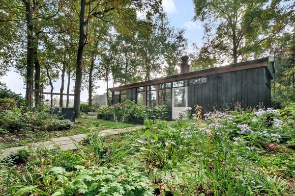 funda boshuis permanente bewoning huis woning kopen bos groot perceel (14)