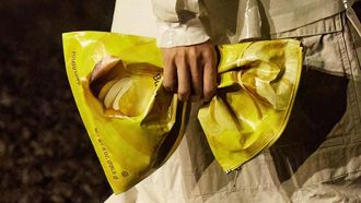 balenciaga, potato chip bag, lay's chipszak, peperduur fashion item, paris fashion week