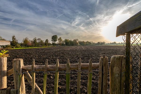 funda zeeland boerderij dijkwoning grote tuin (15)