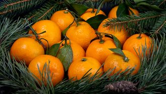 ADH vitamine C per fruitsoort: snacks voor weerstand tijdens kerst