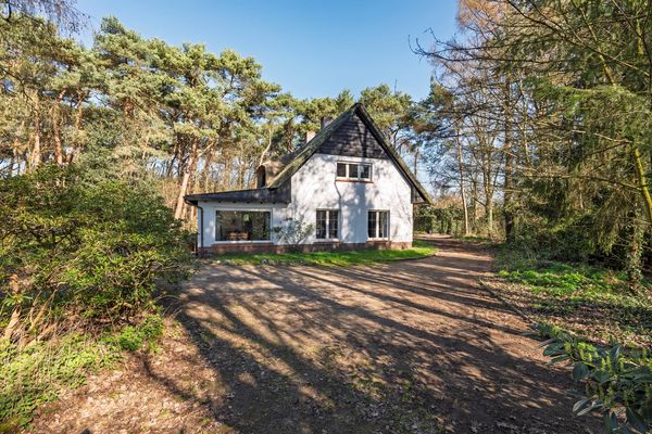 funda huis villa belgie kempen mol villa groot perceel bos natuur (7)