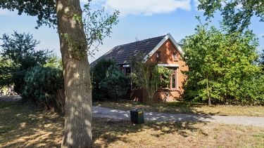 funda nieuw amsterdam drenthe bio boer groenten groot perceel (11)