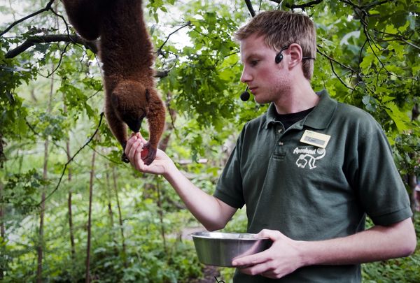 dierentuin salaris verzorger dierenverzorger loon geld verdienen vacature