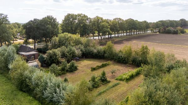 funda nieuw amsterdam drenthe bio boer groenten groot perceel (11)