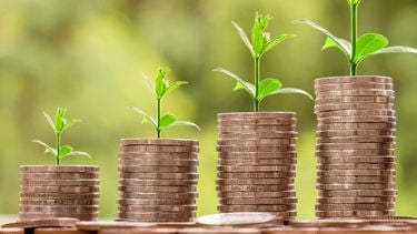 Zo krijg je 2.000 euro subsidie om je tuin te vergroenen