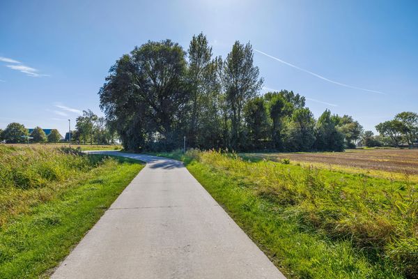 funda energielabel A+ groot perceel vrij uitzicht bos friesland (16)